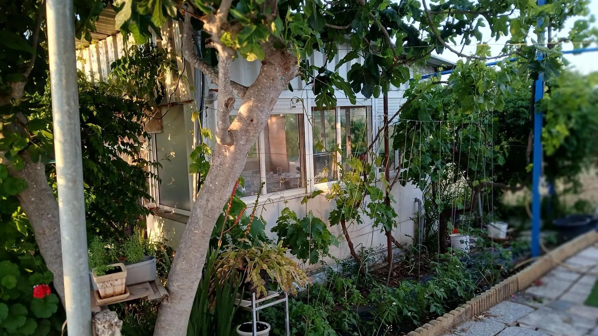Σπίτι διακοπών Casa De Campo Independiente En Finca La Guindilla Gibraleón