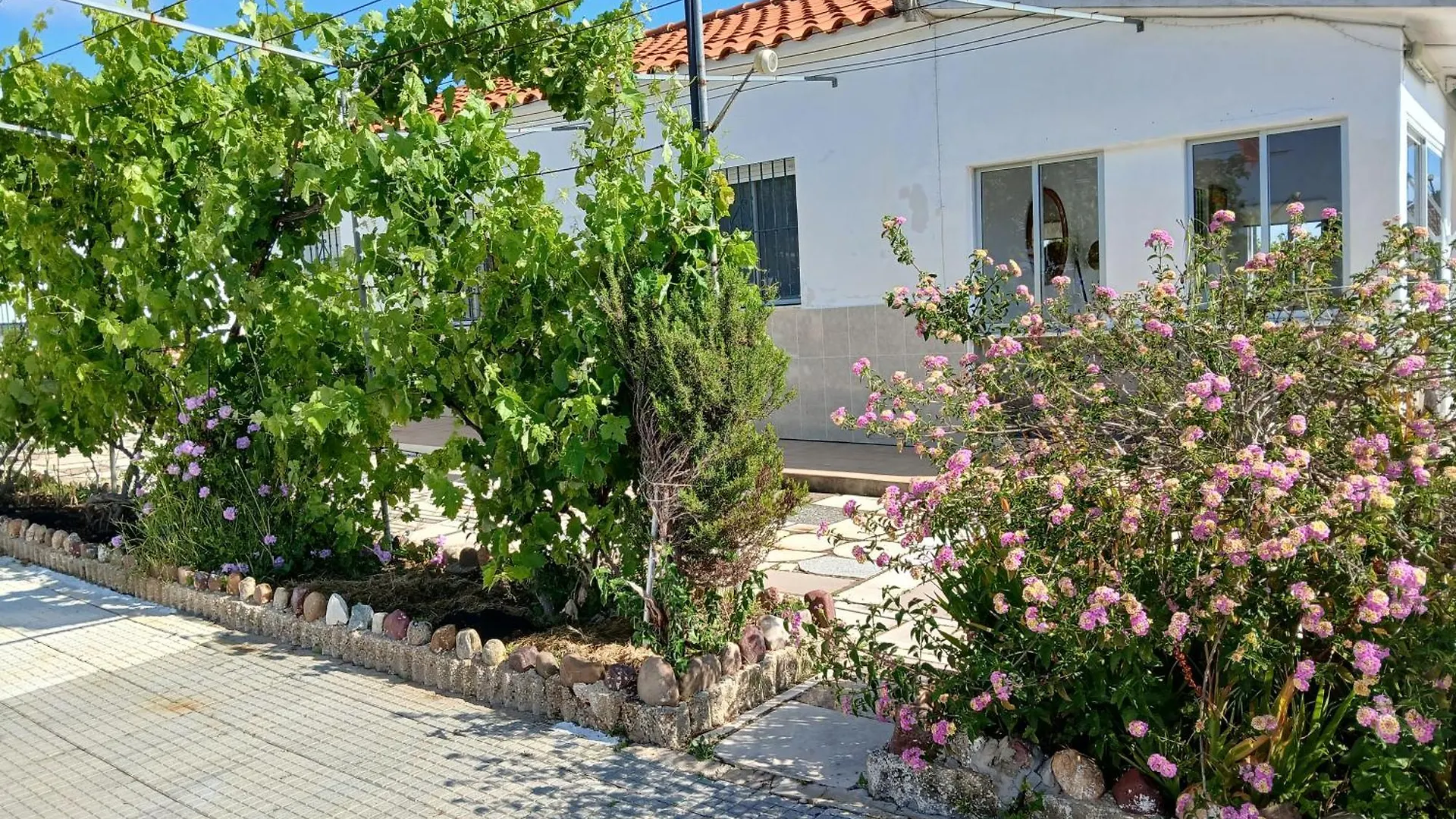 Casa De Campo Independiente En Finca La Guindilla Gibraleón Σπίτι διακοπών
